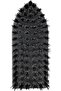 Floor Brush DC3672 - 2