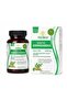 Bioactive Ashwagandha 500mg – 60 Vegetarian Capsules Daily Zen | Stress Relief, Mood & Sleep Support | Shoden® Ashwagandha Extract - 3