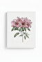 White Wooden Framed Flower Patterned Painting - Pastel Tones |   Huhu1172
