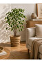 Hand Knitted Large Wicker Flower Pot Basket Decorative Natural Flower Pot 26X27 cm - 3
