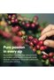 Ethiopian Guji Hambella Ground Coffee – 100% Arabica, Single Origin Specialty Coffee, Floral & Fruity Notes, Medium Roast, Freshly Roasted in Dubai, 500g - 6
