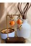 Steel Women's Earrings Orange Earrings with Sea Star and Shell Design