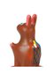 Handpainted Easter Eggs Condoms - 2