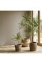 Artificial Jacaranda Tree H120cm - Green - 4