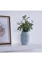 Artificial Eucalyptus In Blue Ceramic Pot 17.78x17.78x27.94cm - Green - 6