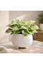Plummer Stoneware Organic Round Planter 21x21x17.8cm - White