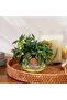 Artificial Green Stems Arrangement in Glass Vase 15x10x15cm - Green
