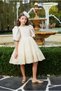 Girl's Balloon Sleeve, Tulle, Lace Detailed Dress for Special Occasion, Birthday - 5