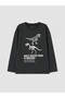 Anthracite Crew Neck Printed Boys' 2-Piece T-Shirt - 5