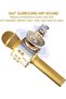 2-Pack Wireless Bluetooth Karaoke Microphones: Portable Handheld Mics with Speaker in Black & Gold – Perfect for All Ages - 3