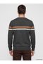 Lcwaikiki Classic Anthracite Crew Neck Striped Men's Knitwear Sweater - 4
