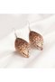 New Series Copper Beige Flower Motif Dangle Earrings - 6