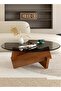 Coffee Table, Round Coffee Table for Living Room Modern Glass Coffee Table with Solid Wood Legs Farmhouse Mid Century Center Table Large Circle Sofa Table (Walnut + Gray, 80*80*31cm)