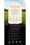 Carrot Jeju Carrot Juice Jeju Green Tea Water Moisture and Barrier Support Niacinamide Panthenol Soothing Cream 100 Gr - 8