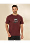 Men Burgundy Heritage Printed Graphic T Shirt