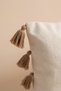 Botanical Embroidered Tassel Cushion Cover 35X55 cm - 8