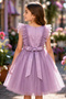 Girls Party Dress