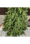 Brad artificial Sersimo, Marilis Elite, verde, complet 3D, 230 cm - 4