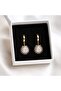 Zircon Stone Drop Dangle Gold Steel Earrings - 4