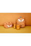 Bidon 350 ml - Fox - 8