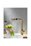 360° Rotating Pull-Out Kitchen Faucet - Single Handle Sink Mixer Faucet - Brushed Gold - 2