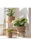 Indoor seaweed flower pot basket, flower pot cover, plant container, natural (3-piece set) - 2