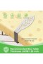 12-Piece SS Outdoor Tablecloth Clips - Thickened Version - Leaf Design - For Indoor & Outdoor Use - for Gardens - Picnics - Barbecues - Parties - 3