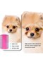 Cat and dog flea combs, small, medium, and large pet flea brushes (manual brushes) - 4
