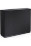 Subwoofer CP-AWS0101 Negru - 8