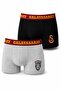 Licensed Fan Men's Boxer Briefs 2-Pack Cotton Boxer Underwear Fan Boxer Briefs Gift Lion Briefs Gs 1905 Totem Briefs Gs23075