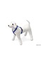 Zengezur Dog Chest Harness m (163546) Mi 45-70X2 - 2