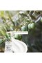 Hand Cream – Moisturizing & Nourishing – Olive & Citrus Extract, Vegan 30 ml - 2