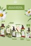 Moisturizing, Nourishing and Refreshing Verbena Chamomile Body Lotion for All Skin Types 390ml - 6