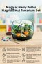 Clementon and Harry Potter Hagrid's Hut Terrarium Building Set Decorative Nature Science Toy Set - 2