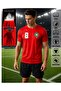 2026 Big Final Series Logo Special Edition Jersey Fabric T-Shirt
