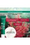 Anti-Blackhead Mattifying Face Cream Gel - 40 ml - 4