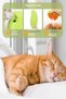 Steam Cat Comb Hair Collector Cat Dog Hair Collection Cleaning Cat Brush Cat Products - 2