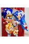 Sonic the Hedgehog Balloon Set - 12 Piece Large Size Sonic Themed Foil Balloon Set - 6