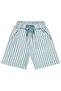 Striped 6-18 Months Shorts - Green - 2