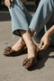 Fita Bowknot Brown (4 cm Heel) Pointed Toe Heeled Shoes - 6