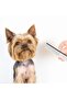 2 - Pcs Bright Color Metal Dog Cat Comb - 19 cm - 7