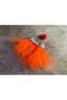 Cat Dog Tutu Skirt and Buckle - 3