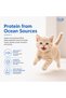 Kitten Dry Cat Food, Ocean Fish, 3 Kg | 100% Balanced Diet With Real Fish, DHA For Brain Development - 5
