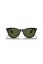 Rb 2185 901 58 55 Unisex Sunglasses - 6