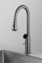 Rosel Gold Spiral Kitchen Faucet with Led Digital Temperature Display - 3