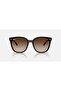 Rb4423D Sunglasses 66mm - 2