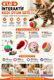 4-Piece Interactive Cat Play Set, Hacıyatmaz, Sound-Activated Plush Mouse and Moving Play Balls