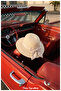 Breeze of the Past, Style of Today, Retro Foldable Straw Hat (Diameter 34, Brim 8 cm) (Inner Drawstring Available) - 5