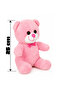 Teddy Bear - Pink Plush Teddy Bear - Soft Toy Bear - Cute and Ideal for a Gift 25 cm - 2
