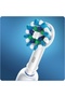 Cross Action Brush Heads - 6